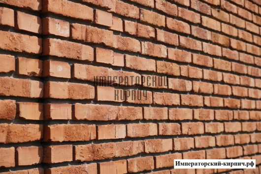 картинка Кирпич керамический лицевой «Сортировка 2-04»